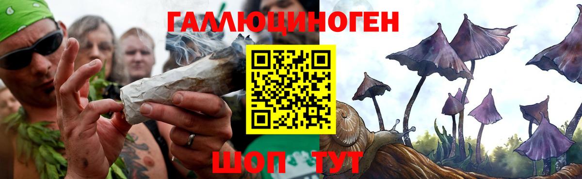 Псилоцибиновые грибы Psilocybine cubensis  купить наркоту  Балахна  Вход с VPN 